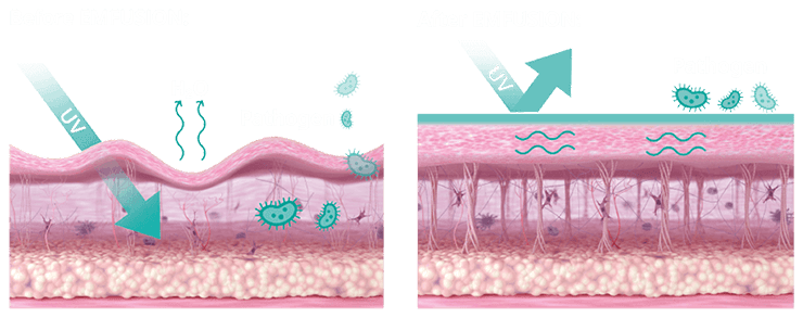 EMFUSION EMFUSION